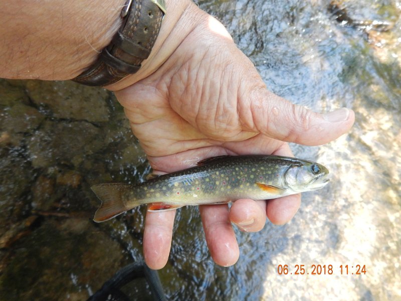 -Kettle Valley-111-.jpg